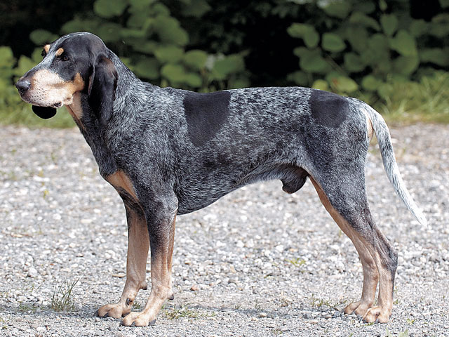 �����Ƒ��Ɍ}����O��